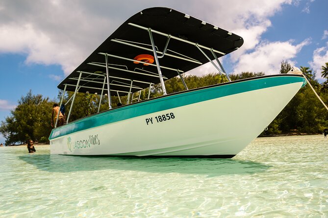 Private tour whale watching and snorkeling in Moorea - What the strongest moments may look like