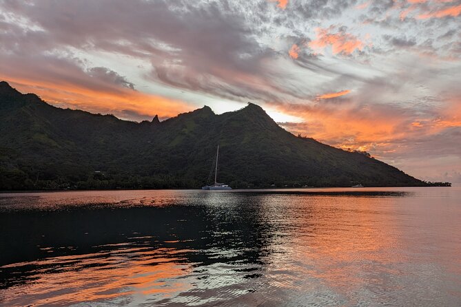 Private Tour Whale Watching Half Day Tour - Booking, weather, and cancellation advice