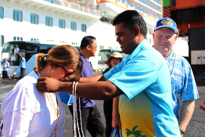 Private Transfer: Nadi Airport to Coral Coast - 1 to 4 Seat Vehicle - Key points at a glance