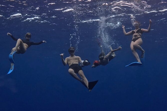 Private Whale Watching Adventure in Mo'orea - Searching first, swimming only when conditions allow