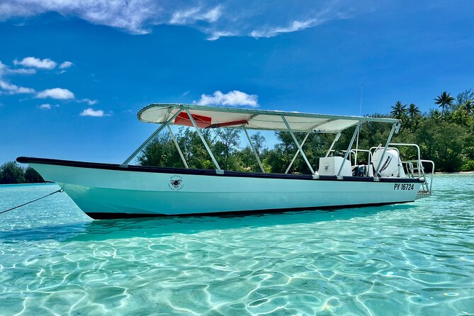 Private Whale Watching Adventure in Mo'orea - The private format and its real value