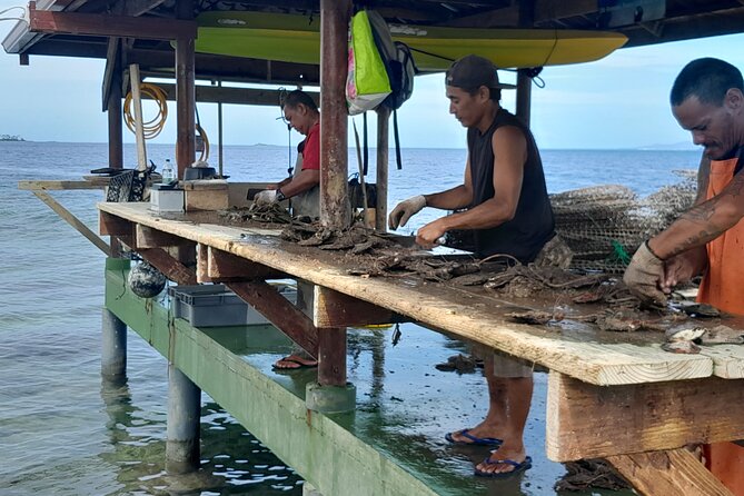 Raiatea-Beautiful Black Pearl of Tahiti and the Vanilla of Tahaa - Who will enjoy this Tahaa excursion