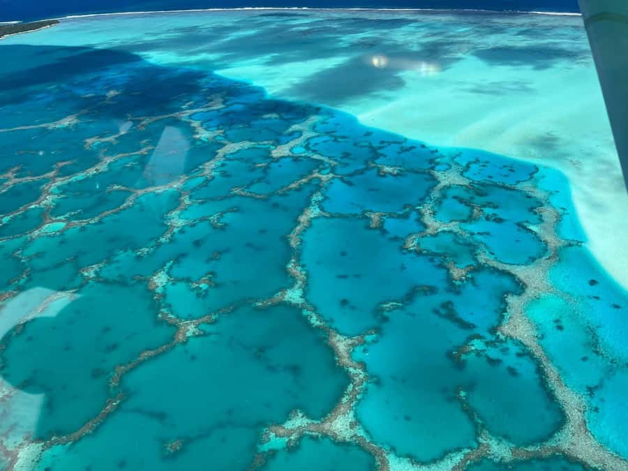 Raiatea: Bora Bora and Taha'a Private Scenic Flight one hour - Practical comfort and what to bring