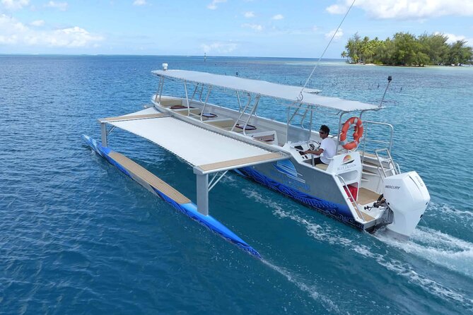 Raiatea-Tahaa Snorkeling in our beautiful Coral Garden - The complimentary Tahaa pearl farm visit