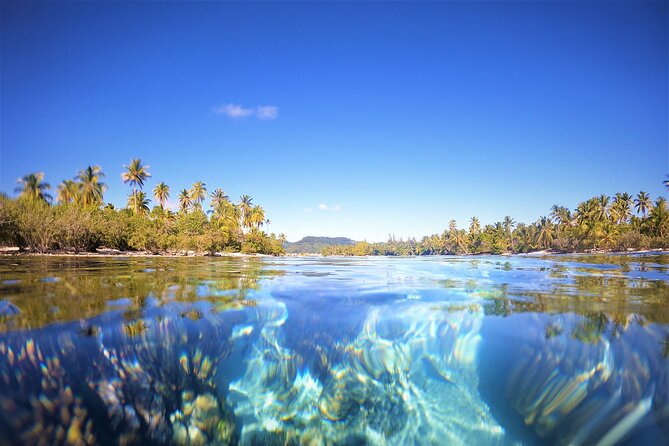 Raiatea-Tahaa Snorkeling in our beautiful Coral Garden - Timing, price, and what you receive
