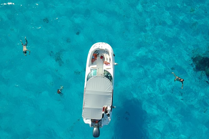 Reef Discovery Half Day Group Signature Tour - Quick take: what matters most