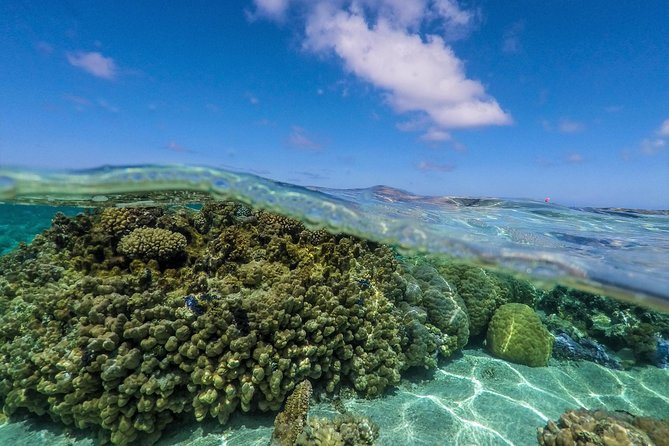 Reef Discovery Half Day Group Signature Tour - What the physical side feels like