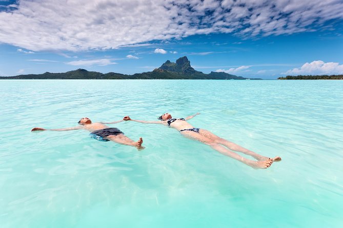 Reef Discovery Half Day Group Signature Tour - Who will get the most from this tour