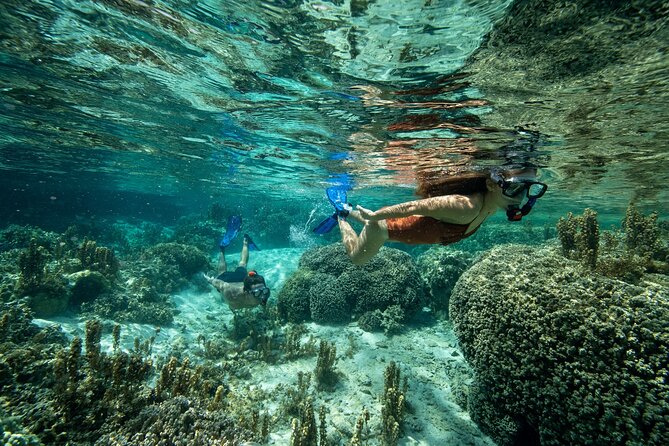 Reef Discovery Luxury Private Snorkeling Lagoon Tour - Who gets the best value from $941.51