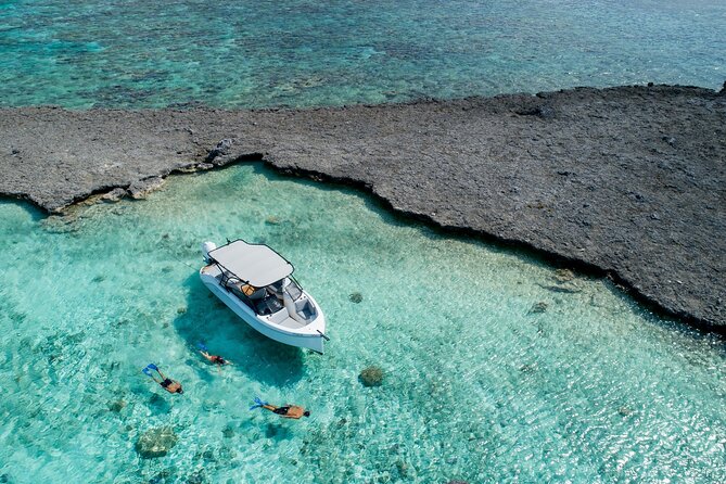 Reef Discovery Luxury Private Snorkeling Lagoon Tour - Couples, families, and small groups