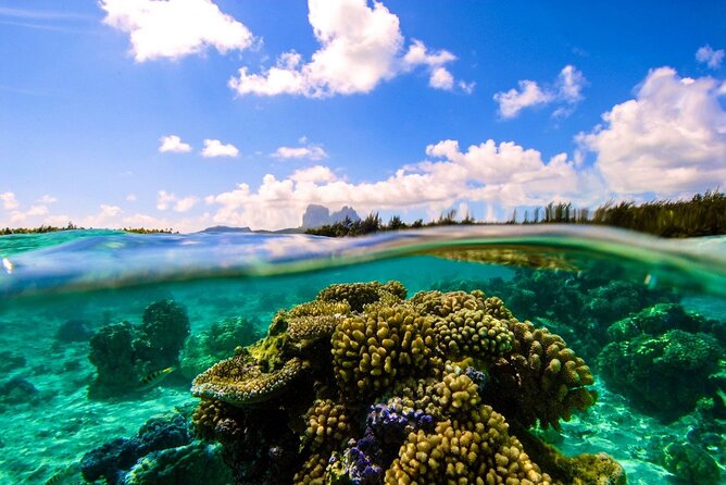 Reef Discovery Private Full Day Lagoon Tour & Water Lunch - Who will get the most from this experience