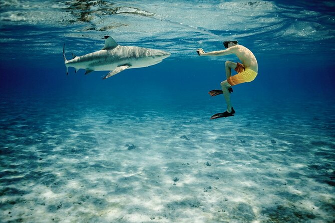 Reef Discovery Private Half Day Lagoon Tour - Who will get the most from this trip?