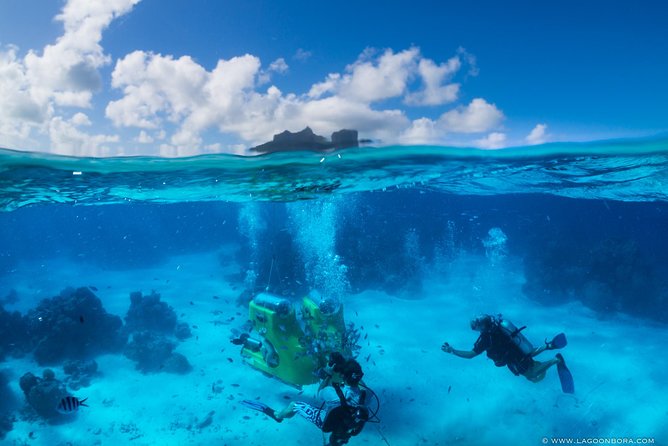 Reef Discovery Private Half Day Lagoon Tour - Pickup, fitness, and weather details