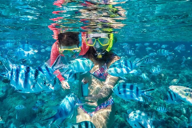 Reef Discovery Private Treasure Hunt - The manta ray stop brings the biggest thrill