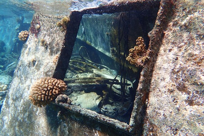 Reef Discovery Private Treasure Hunt - Mana’s role can make the difference for families