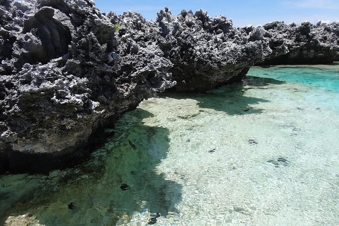REEF ISLAND | private island | pink sand | natural swimming pools - Who should book this day