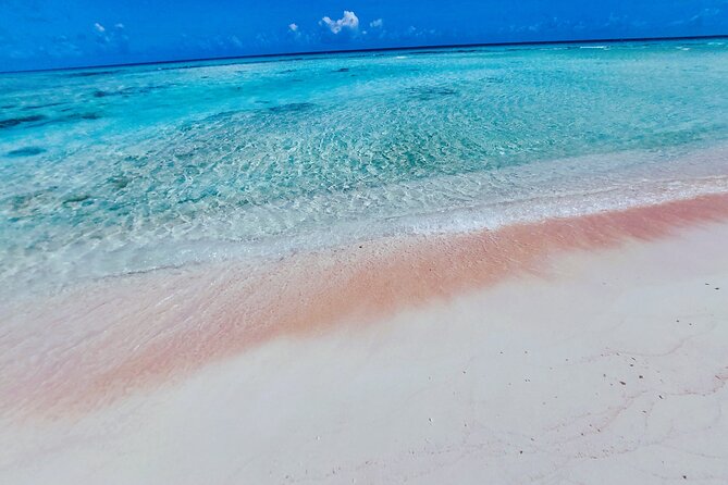 REEF ISLAND | private island | pink sand | natural swimming pools - Reef Island, feo, and the first swim