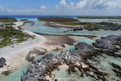 Reef island private tour