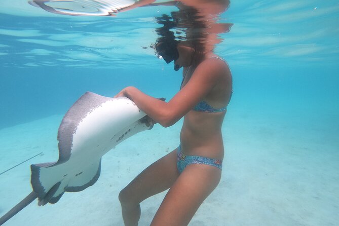 Respectful whale excursion to Tahiti in 4h30 - Why respectful whale watching matters