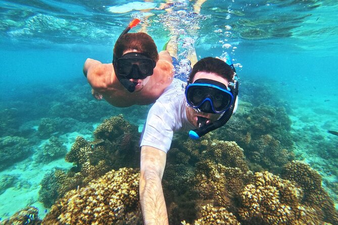 Ride & Slide by South Sea Cats - Half Day Snorkelling Trip - Lunch, Local Drinks, and Shaded Deck Time