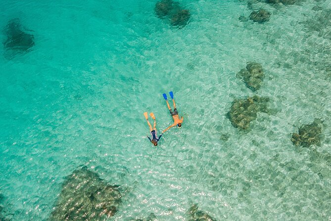 Ride & Slide by South Sea Cats - Half Day Snorkelling Trip - Crew Care Is a Major Part of the Value
