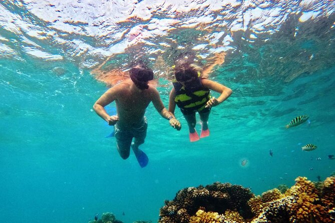 Ride & Slide by South Sea Cats - Half Day Snorkelling Trip - Who Will Enjoy This Most?