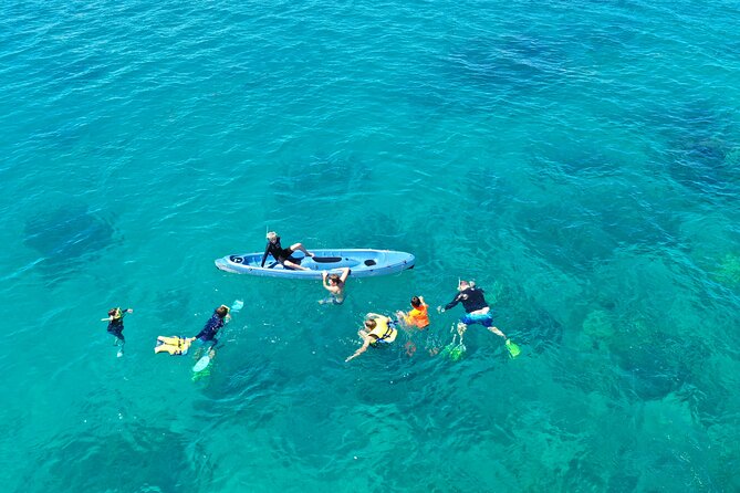 Ride & Slide by South Sea Cats - Half Day Snorkelling Trip - Snorkelling over Fiji’s tropical reefs