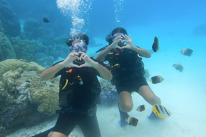 Romantic Dive for beginners in Bora Bora (2 people) with Video - What this Bora Bora experience really offers