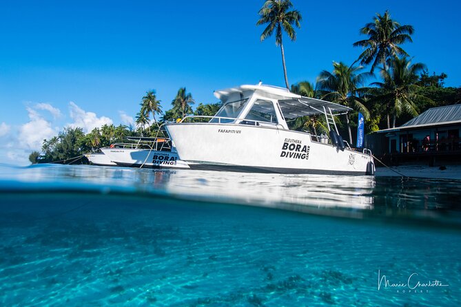 Romantic Dive for beginners in Bora Bora (2 people) with Video - A filmed memory from above and below
