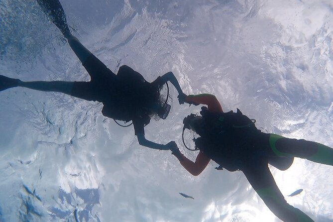 Romantic Dive for beginners in Bora Bora (2 people) with Video - Finishing with a Polynesian black pearl