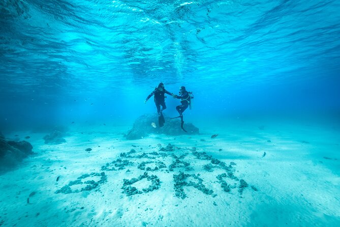 Romantic dive in the lagoon of Bora Bora. Private instructor on a shared boat - What makes this Bora Bora experience special