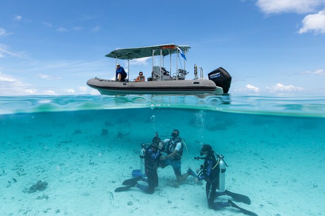 Romantic dive in the lagoon of Bora Bora. Private instructor on a shared boat - Getting comfortable with scuba equipment