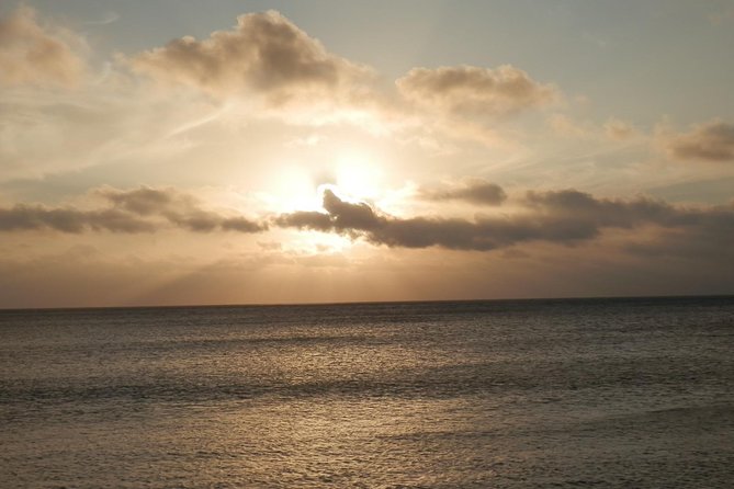 Round The Island Day Trip Fiji- Viti Levu - Suva: your main chance to leave the vehicle