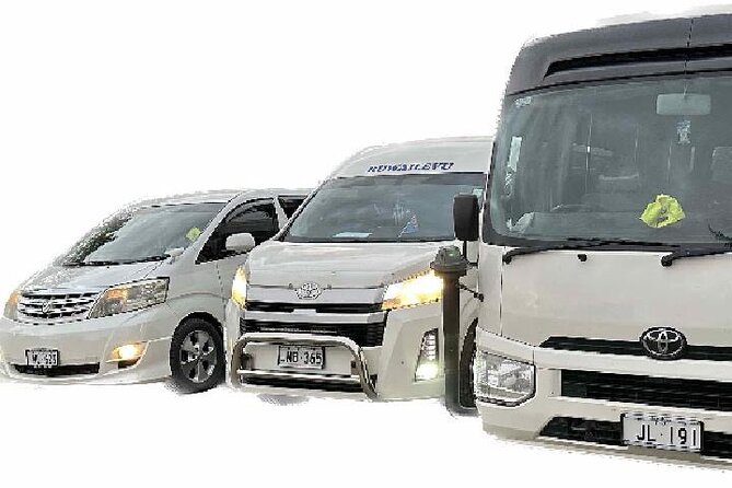 Round Trip Transfer-Nadi Airport to Denarau Island Resorts - The return trip from your hotel