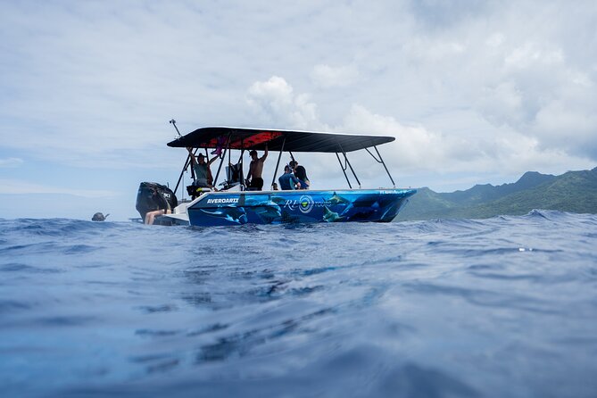 Sacred Experience Swimming with a Whale in Moorea - The $157.90 price and what you receive