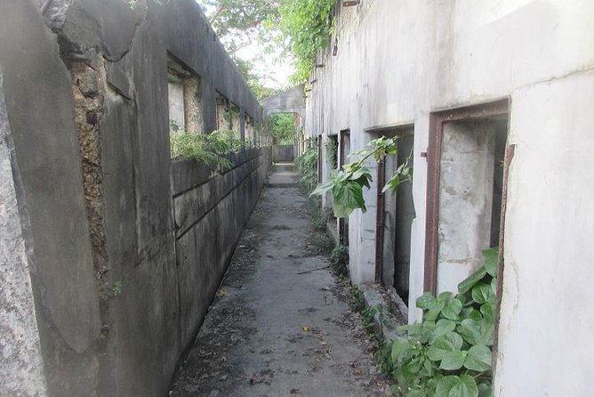 Saipan in a Day- WWII Pilgrimage & Amelia Earhart Tour - The Amelia Earhart story on Saipan