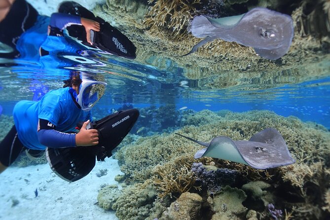 Sea Scooter Jet Snorkeling "Moorea Dream Adventure" - Who will enjoy this most?