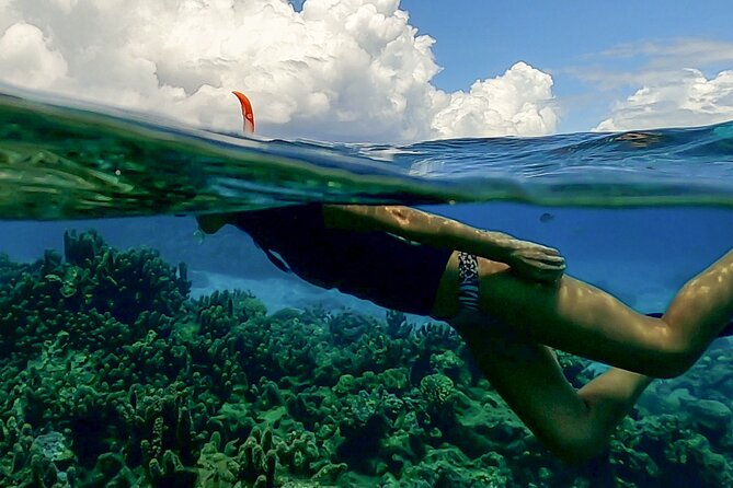 Sea Scooter Snorkel Tour - Lagoon Discovery : Wrecks, Coral Gardens and Tropical Fishies - Photos, videos, and one practical caution