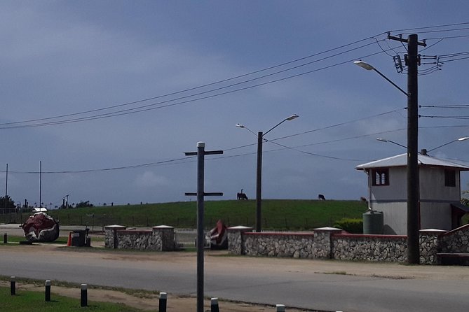 See Hear and Experience Full Island tour - Royal Tonga in the Nuku’alofa area
