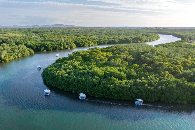 Self Drive BBQ eBoat Cruise with Onboard BBQ Denarau Fiji - Quiet cruising through Fiji’s mangroves