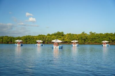 Self Drive BBQ eBoat Cruise with Onboard BBQ Denarau Fiji