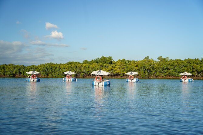 Self Drive BBQ eBoat Cruise with Onboard BBQ Denarau Fiji - A private boat, not a shared cruise