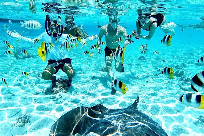SHARED HALF DAY LAGOON TOUR - Bora Bora Cultural Lagoon Tour - Rays First, Then the Rest of Bora Bora’s Lagoon