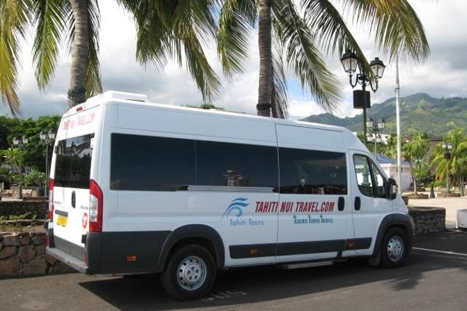 Shared Transfer: Hotel or Cruise Port to Tahiti Airport - A simple final ride from hotel or cruise port
