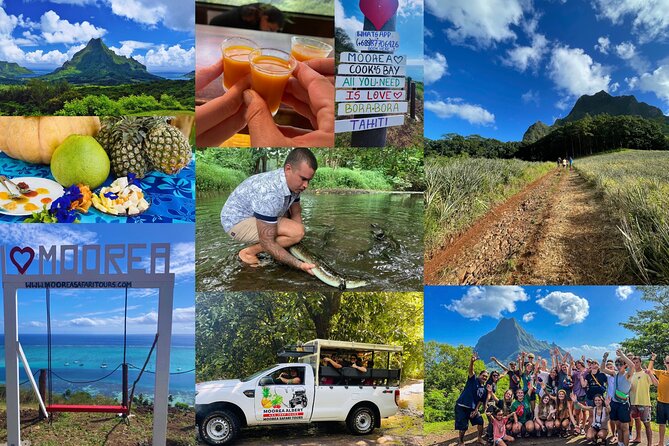 Shared Transfer: Hotel or Cruise Port to Tahiti Airport - What the best service looks like