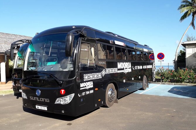 Shared Transfer : Hotel to Moorea Airport (or) Pier - Moorea Airport or the ferry pier