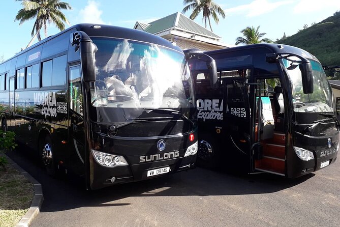 Shared Transfer : Moorea Airport (or) Pier to Hotel - Airport Arrival and the First Drive