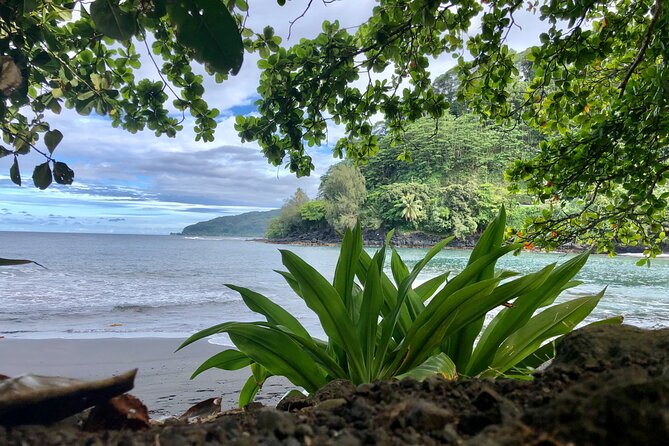 Shared Transfer: Tahiti Airport to Hotel or Cruise Port - Driver service and small touches