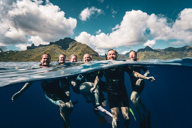 Shared Whale Expedition - A close look at Moorea’s humpback whales