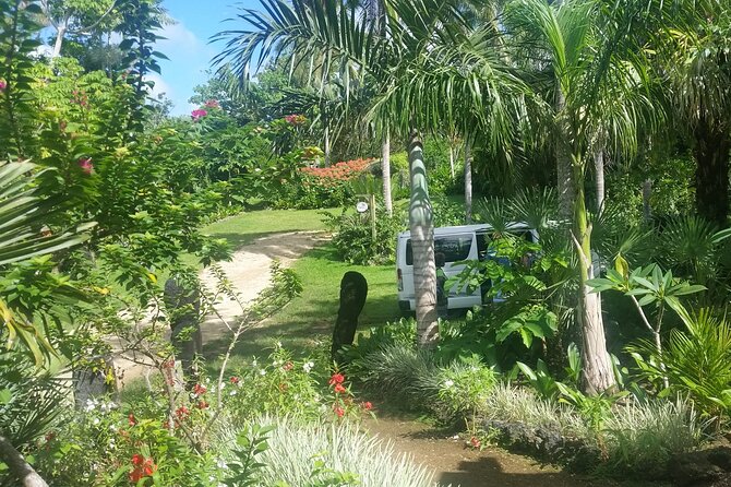 Skip the Line: Swim & Play - Rentapau River & Eden on the River Ticket - The cafe and the real cost of the day